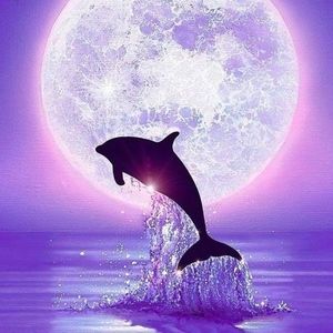 Meet your Posher, Lynn